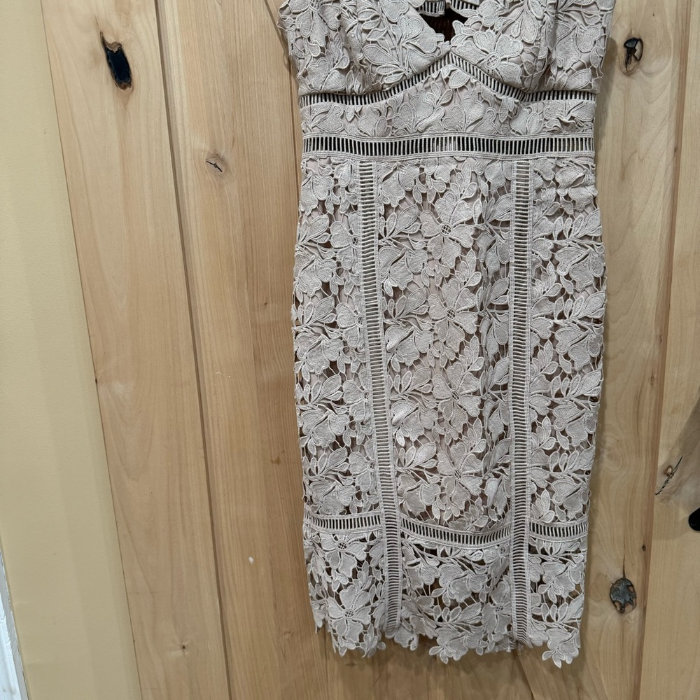 Bardot Botanica Lace Midi Dress Size 8 Nude Beige Floral Overlay Ladder Lace - Picture 10 of 16